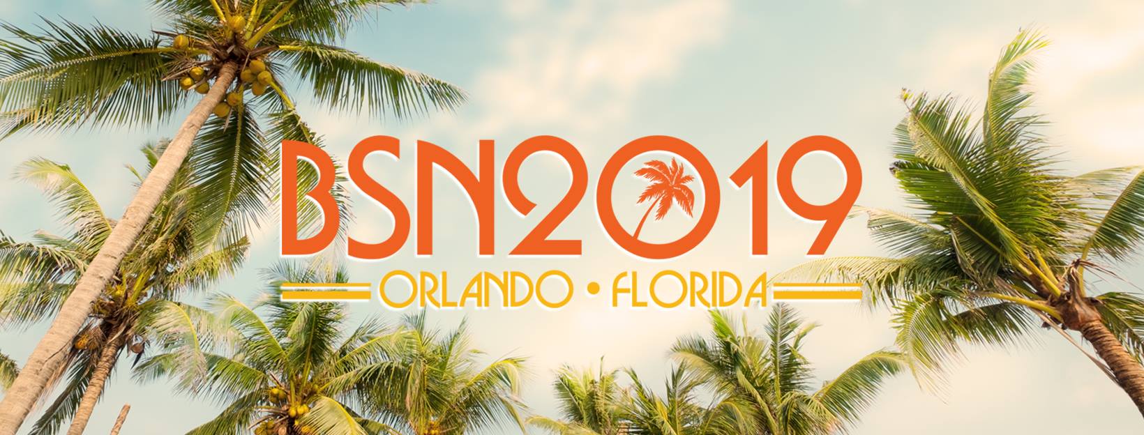 BSN 2019 Behavioral Safety Now BSN 2019 Behavioral Safety Now