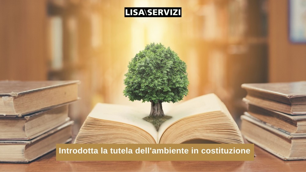 Introdotta la tutela dell'ambiente in costituzione Introdotta la tutela dell'ambiente in costituzione