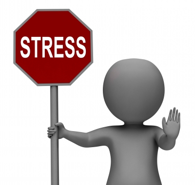 Nuova metodologia per la Valutazione dei Rischi - stress Nuova metodologia per la Valutazione dei Rischi - stress