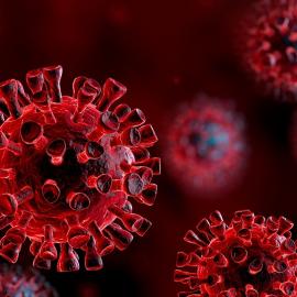 Corso in fad gestione sicurezza e salute in epoca corona virus 
