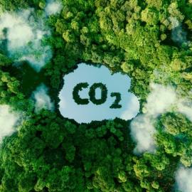 La Carbon Neutrality per le Aziende 