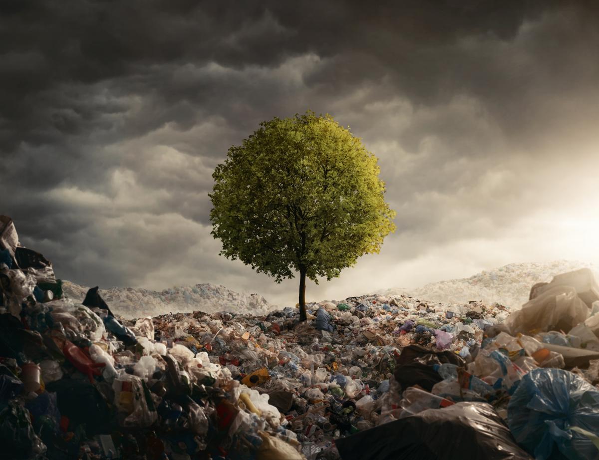 2-Salvaguardare comunità e habitat naturali