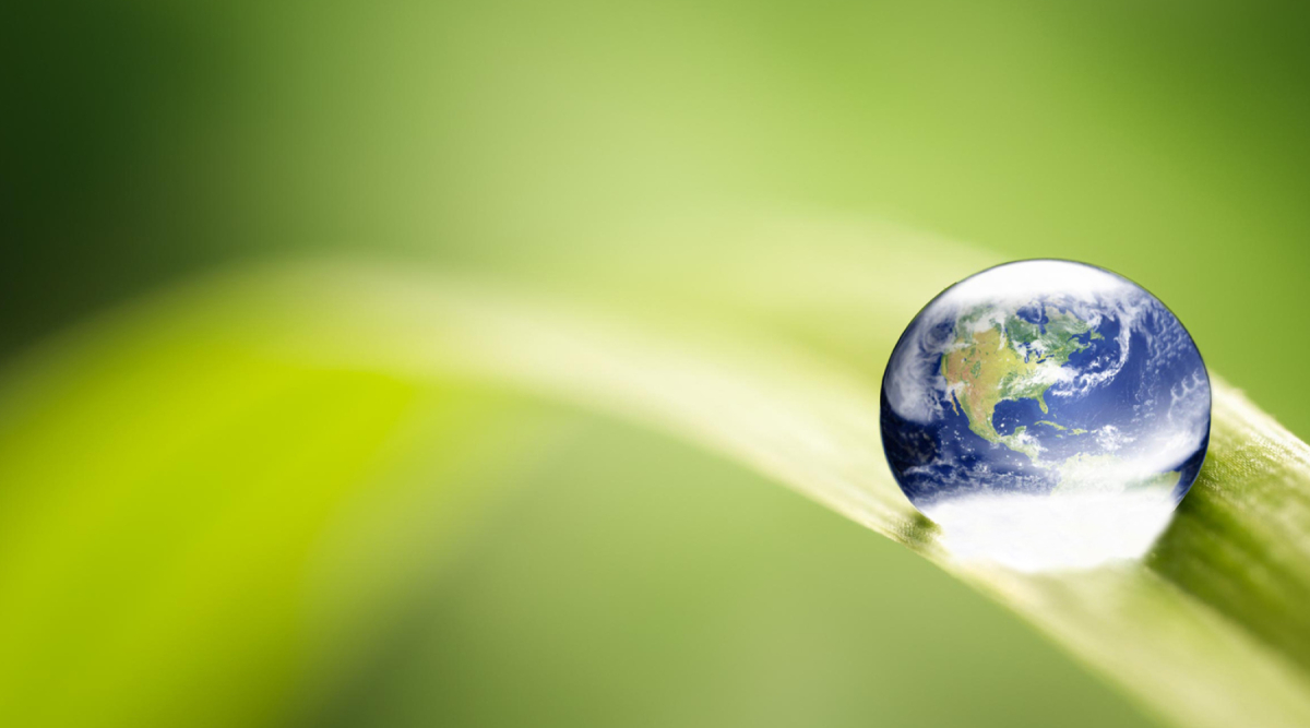 giornata-mondiale-dellambiente-le-foreste-di-tutto-il-mondo