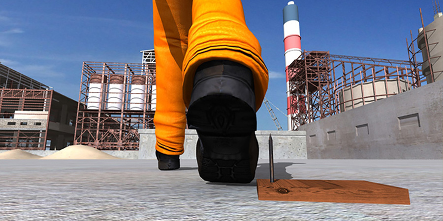 i-corsi-comportamentali-di-giugno-2019