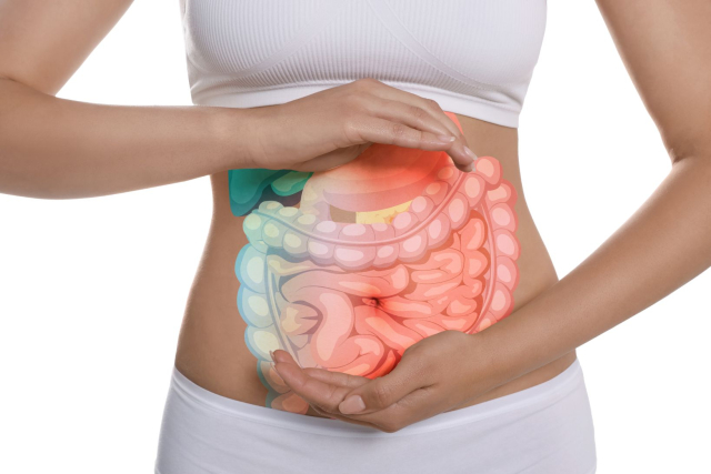 intestino-e-sistema-nervoso-come-lo-stress-influenza-la-salute-e-cosa-fare