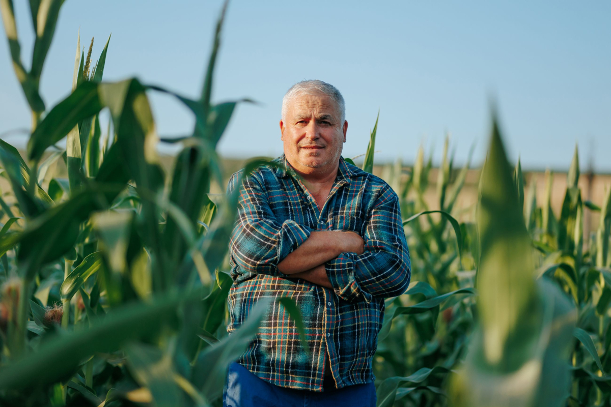 corso-rappresentante-lavoratori-sicurezza-rls-del-settore-agricoltura